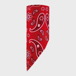 BANDANA CASHMIRE RED